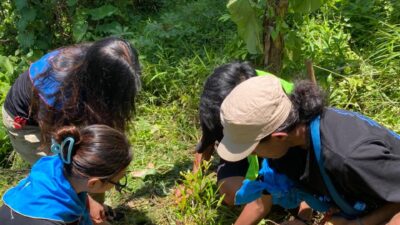 Kelompok Muda Pecinta alam