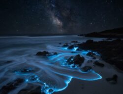 10 Fenomena Alam Paling Menakjubkan di Dunia: Keajaiban Bumi yang Bikin Berdecak Kagum